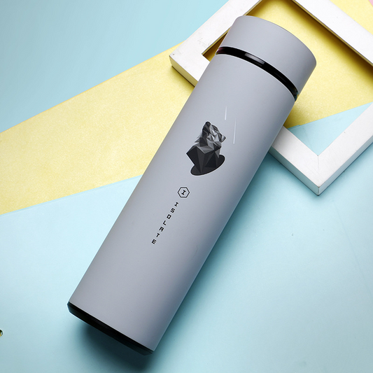 480ml Stainless Steel Vacuum Insulated Bottle