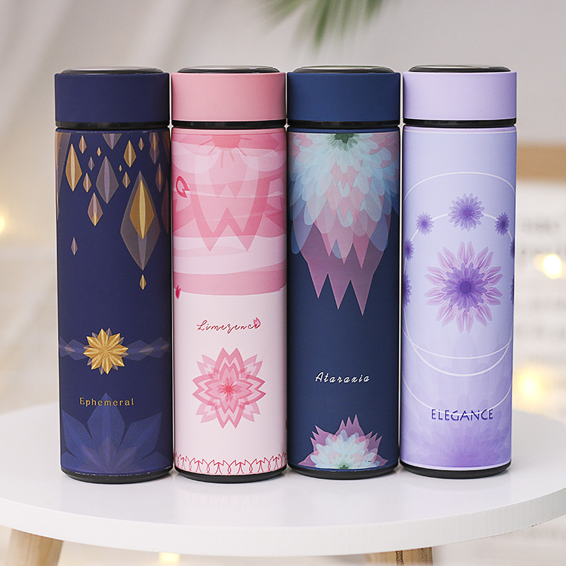 480ml Stainless Steel Vacuum Insulated Bottle