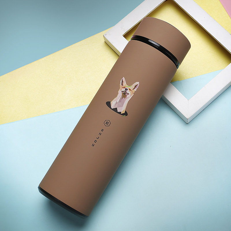 480ml Stainless Steel Vacuum Insulated Bottle