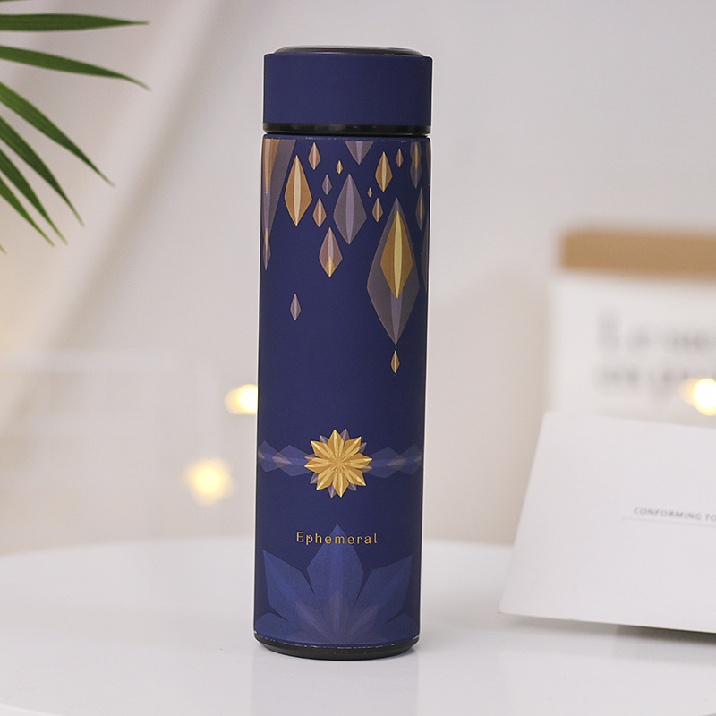 480ml Stainless Steel Vacuum Insulated Bottle