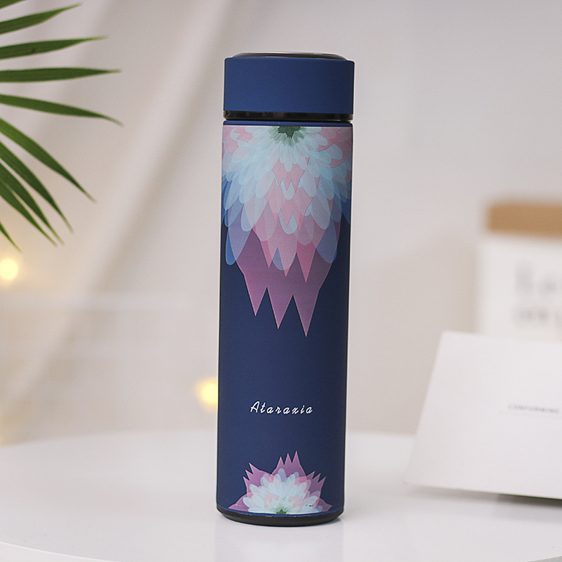 480ml Stainless Steel Vacuum Insulated Bottle