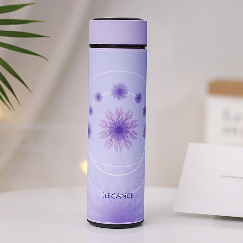 480ml Stainless Steel Vacuum Insulated Bottle